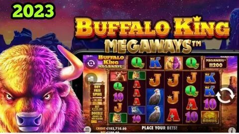 apostas online kwanza bet 